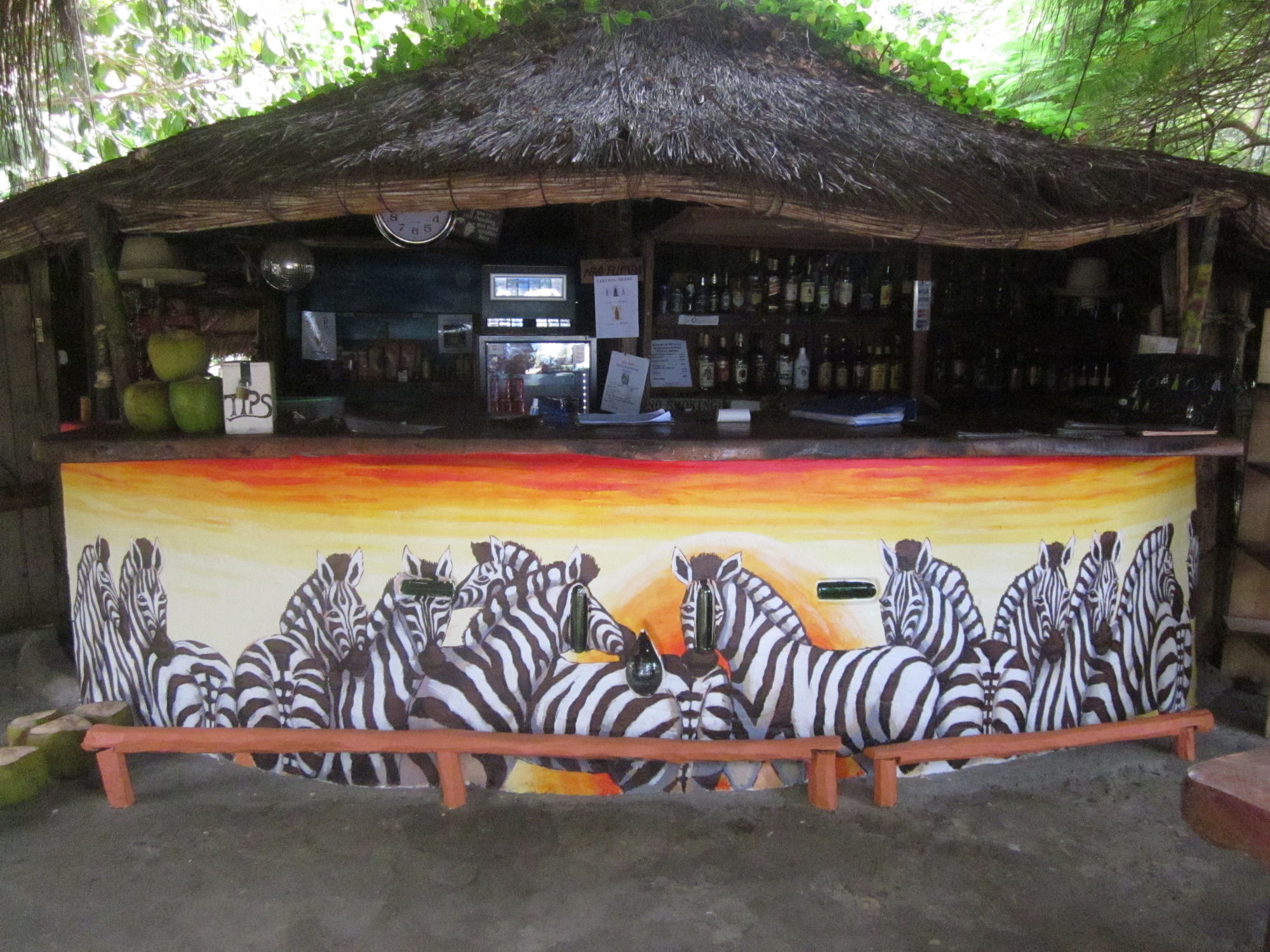 Baobab Beach Lodge And Backpackers Vilanculos Extérieur photo